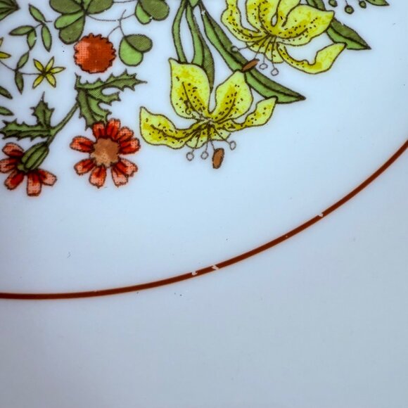 Corelle Indian Summer Dinner Plates Set of 4 VTG Retro Kitchen Table 8.5 Inch - Picture 9 of 11